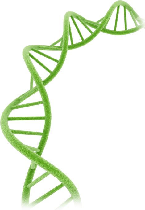 DNA-841083448